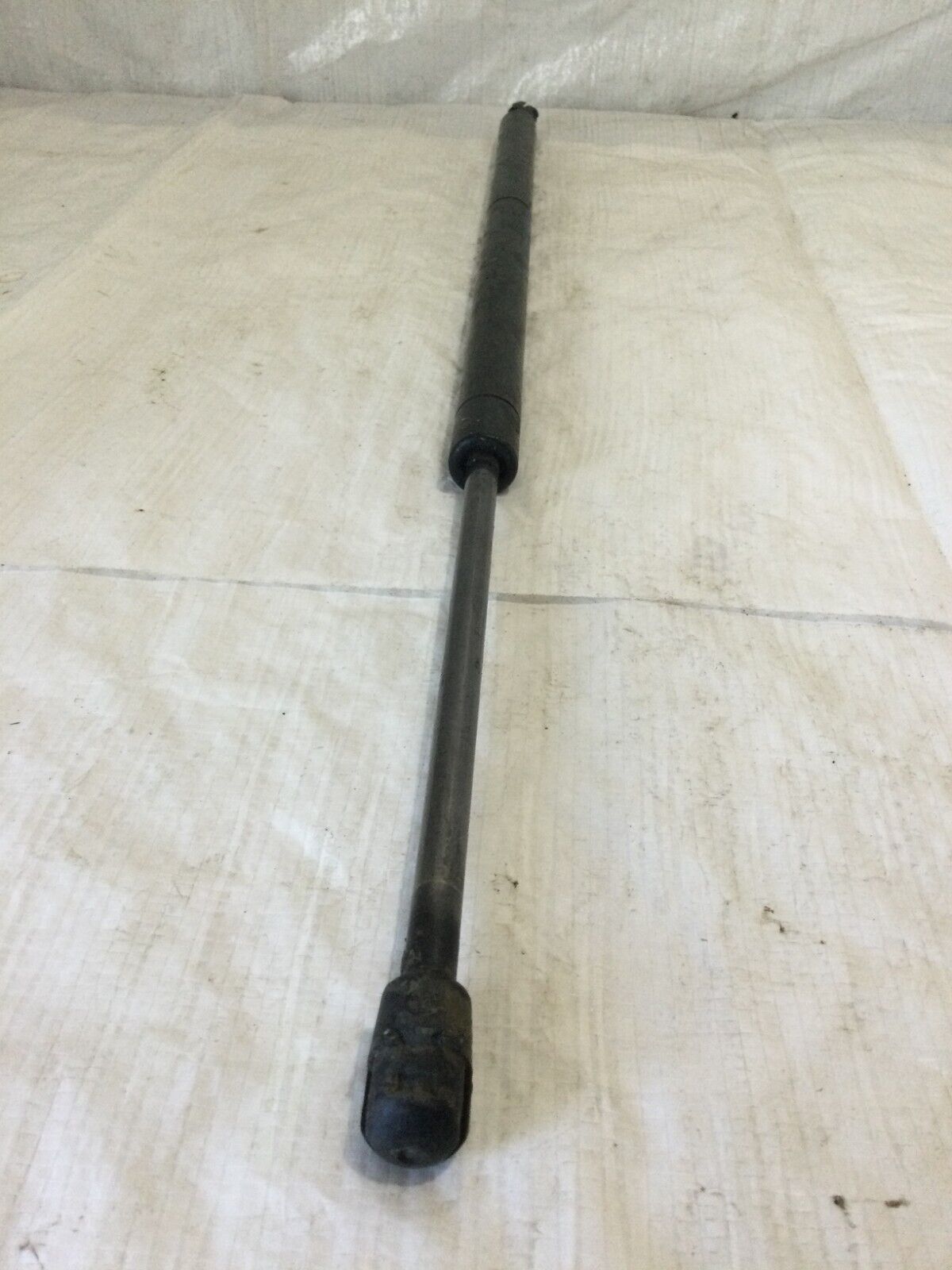 Rear Hatch Lift Support Shock 2008-2010 Dodge Grand Caravan Town & Country OEM