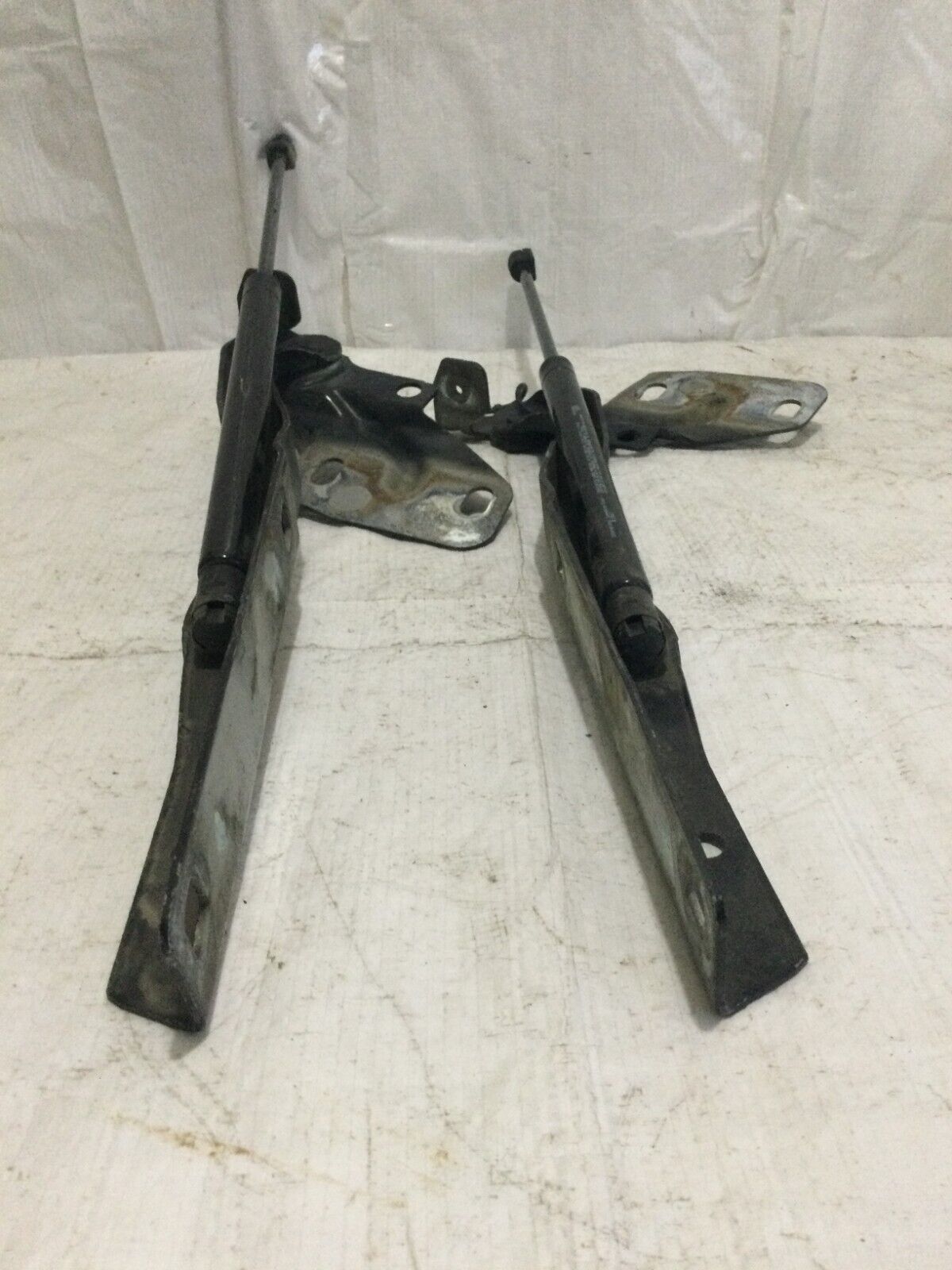 55276321AC 2007 Dodge Ram 1500 Hood Shock Pair W/ Mount OEM