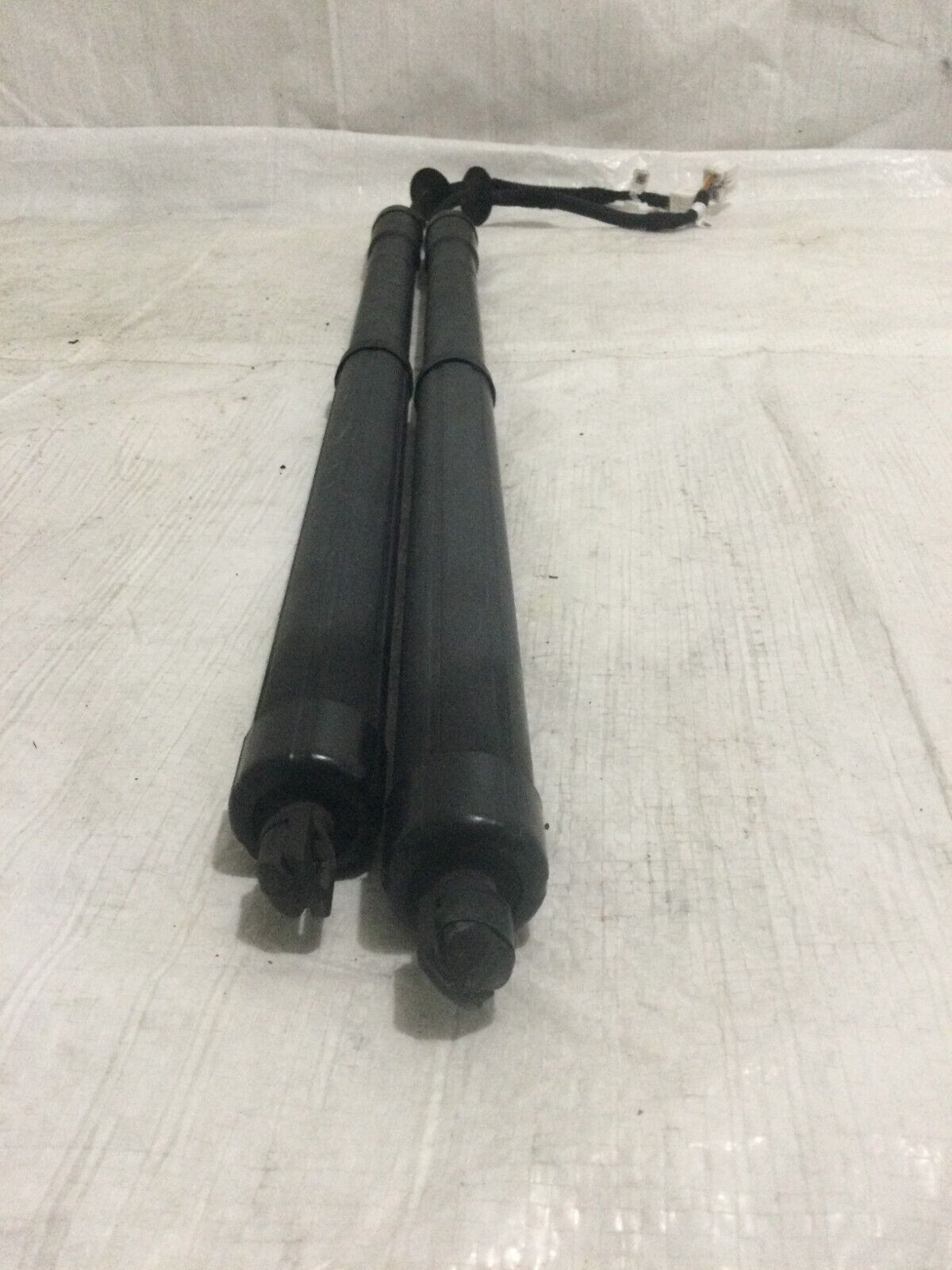2020 Nissan Rogue Power Hatch Lift Support Struts OEM Left Right OEM