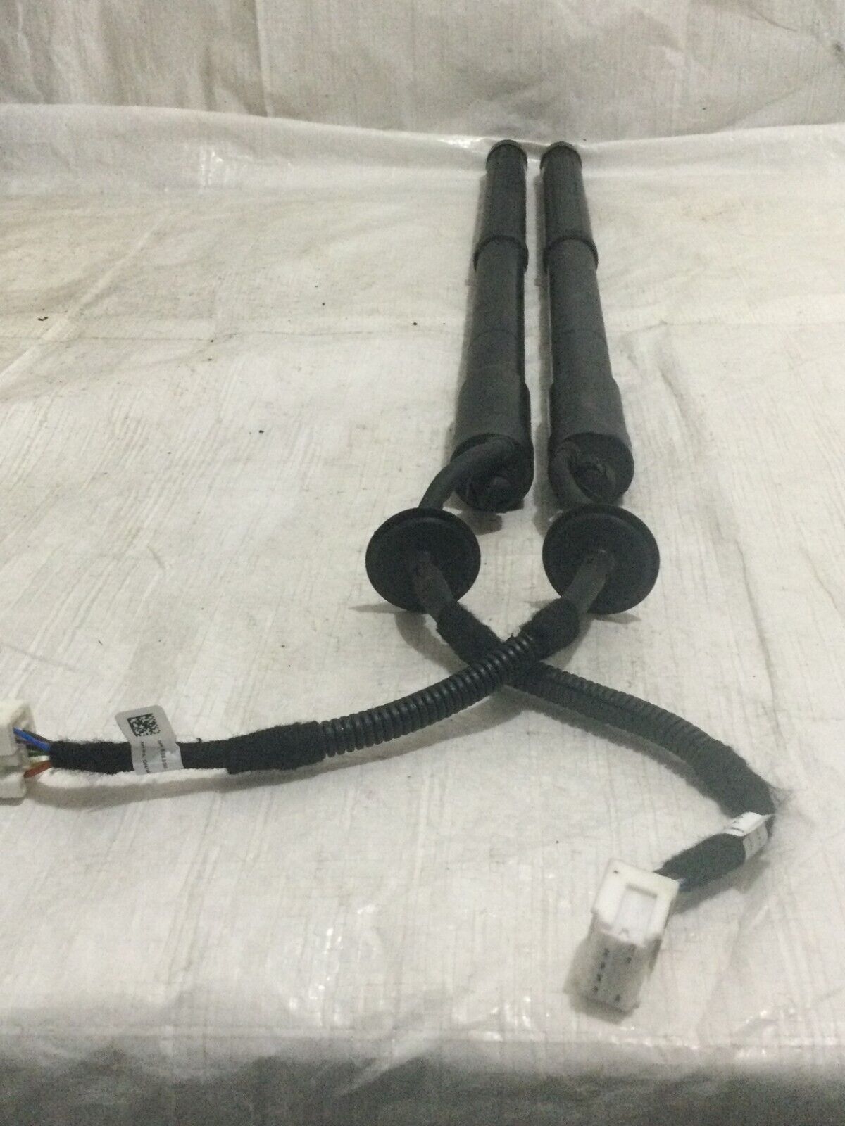 2020 Nissan Rogue Power Hatch Lift Support Struts OEM Left Right OEM