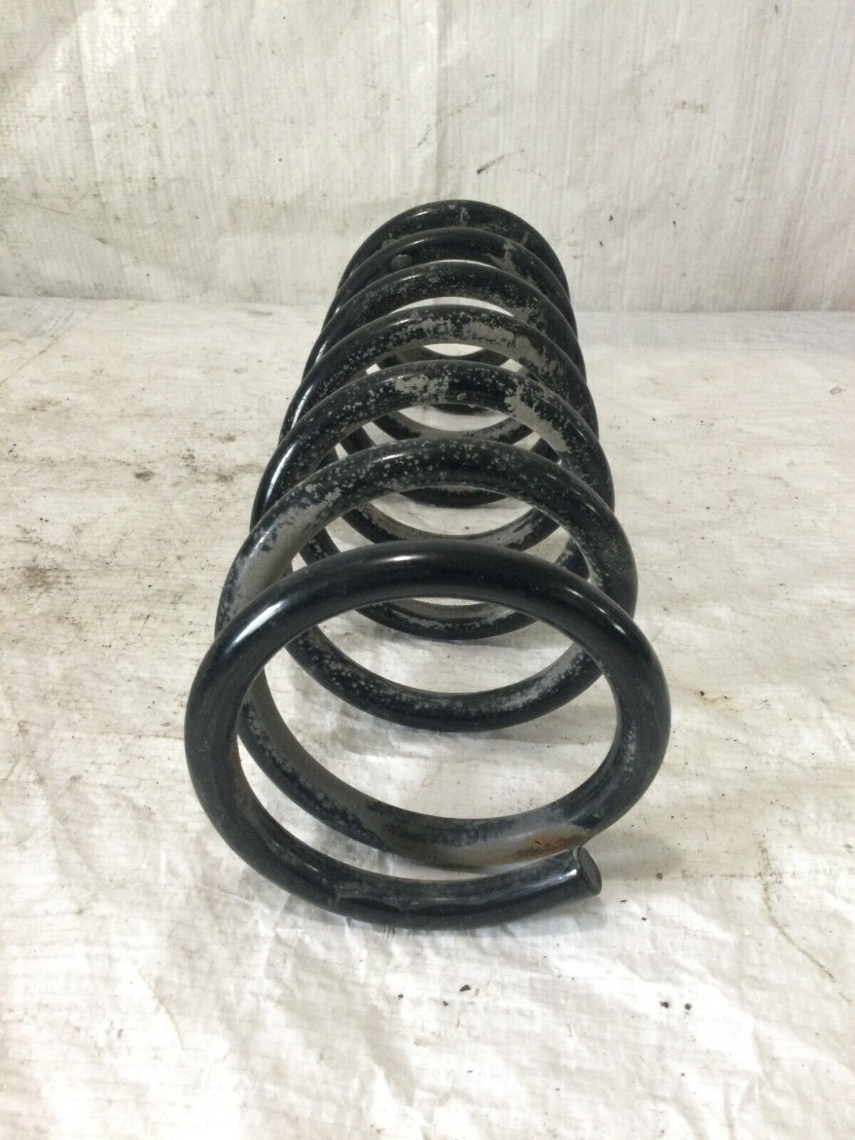 2021 Toyota Corolla Rear Suspension Coil Spring OEM