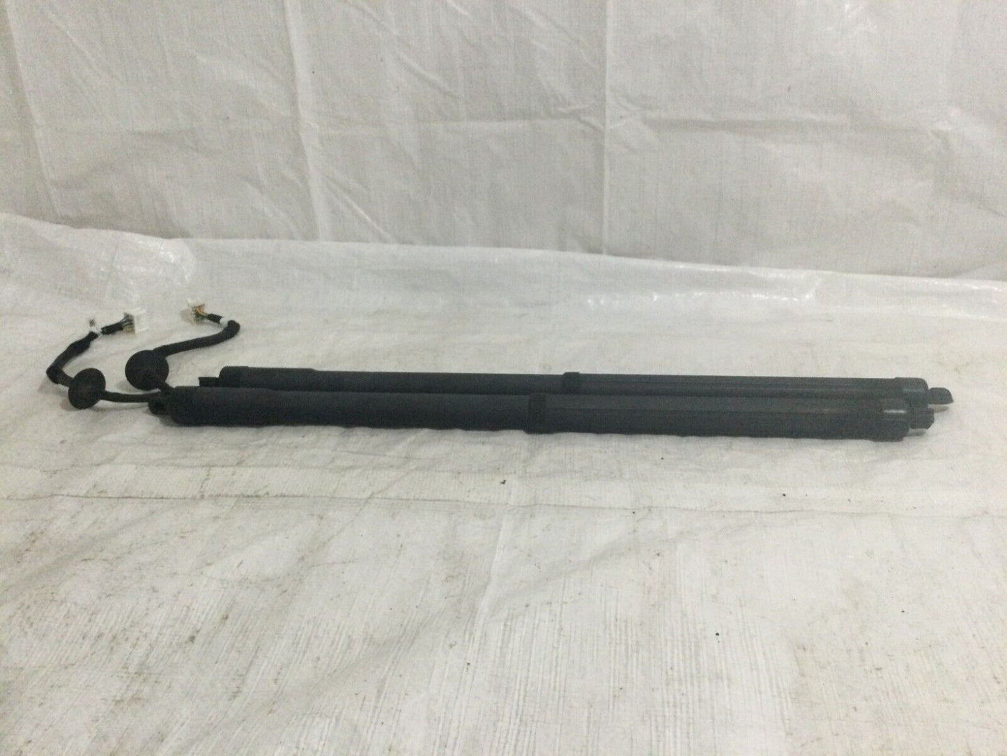 2020 Nissan Rogue Power Hatch Lift Support Struts OEM Left Right OEM