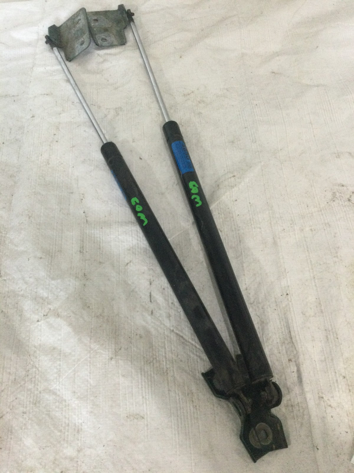 1997 Cadillac Seville Hood Lift Supports Struts OEM