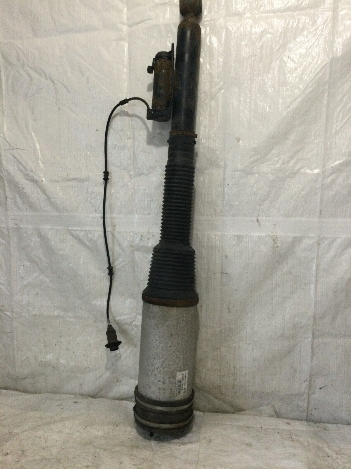 2004 Mercedes-Benz S-Class Rear Left  SHOCK ABSORBER C08605405 OEM