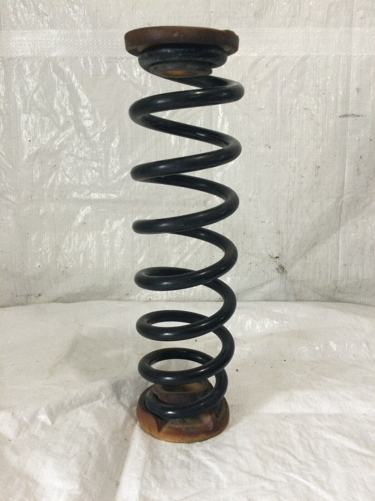 2019 Buick Regal FWD  Rear Front Side  Coil Spring OEM