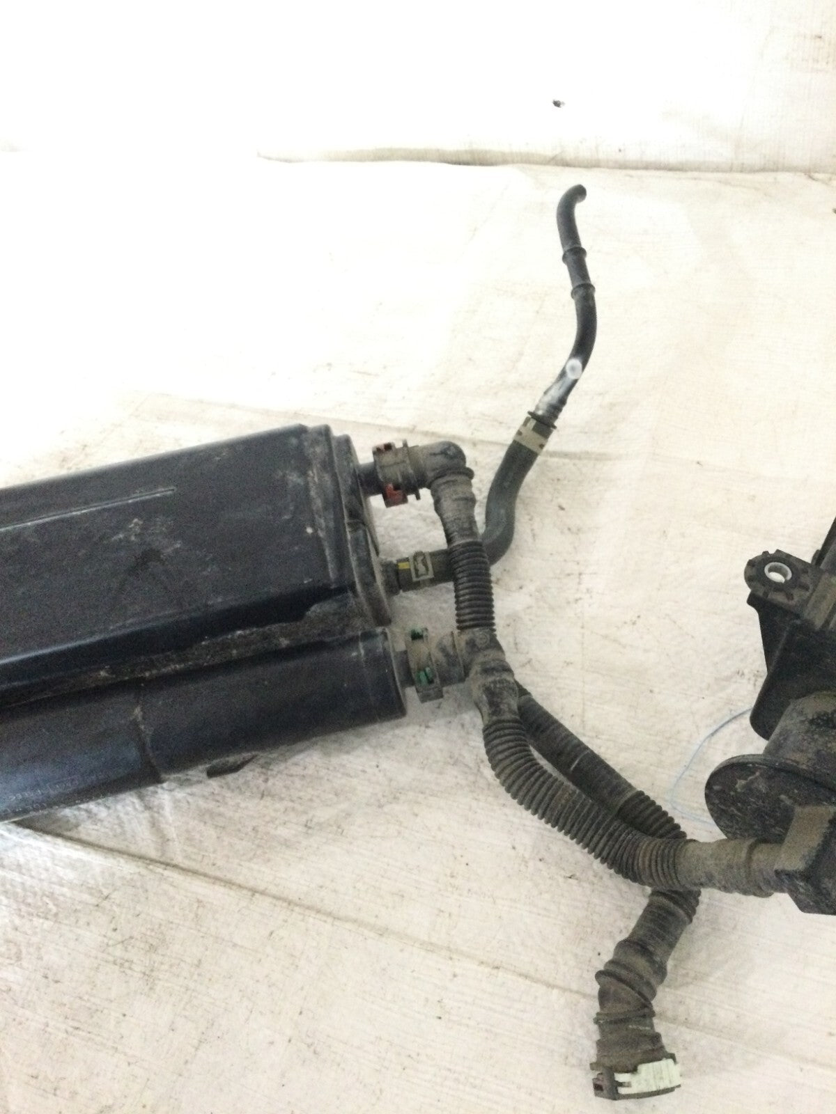 2021 Toyota Corolla Evaporator Canister OEM
