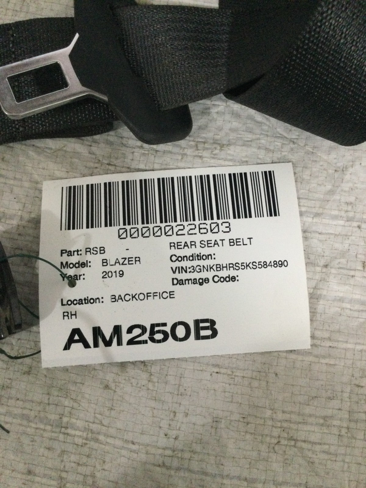 2019-2022 Chevrolet Blazer Rear Right Passenger Seat Belt OEM 84623359