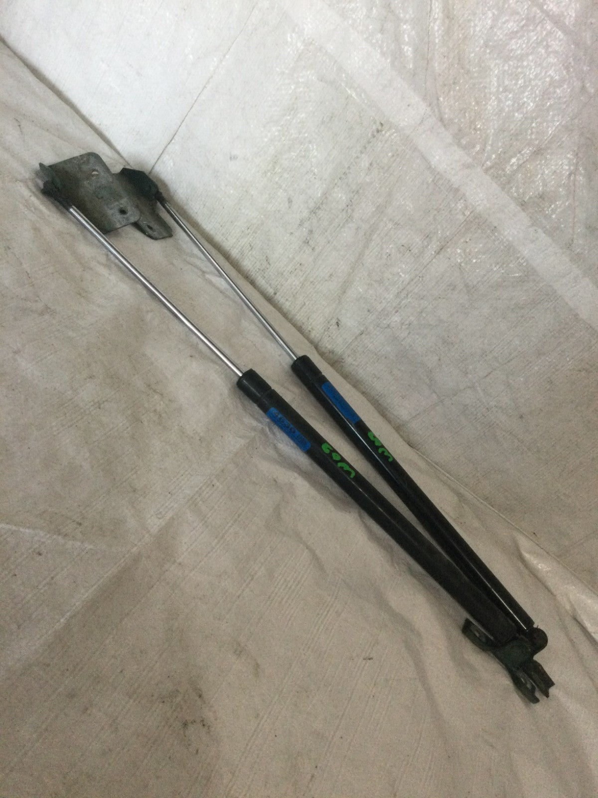 1997 Cadillac Seville Hood Lift Supports Struts OEM