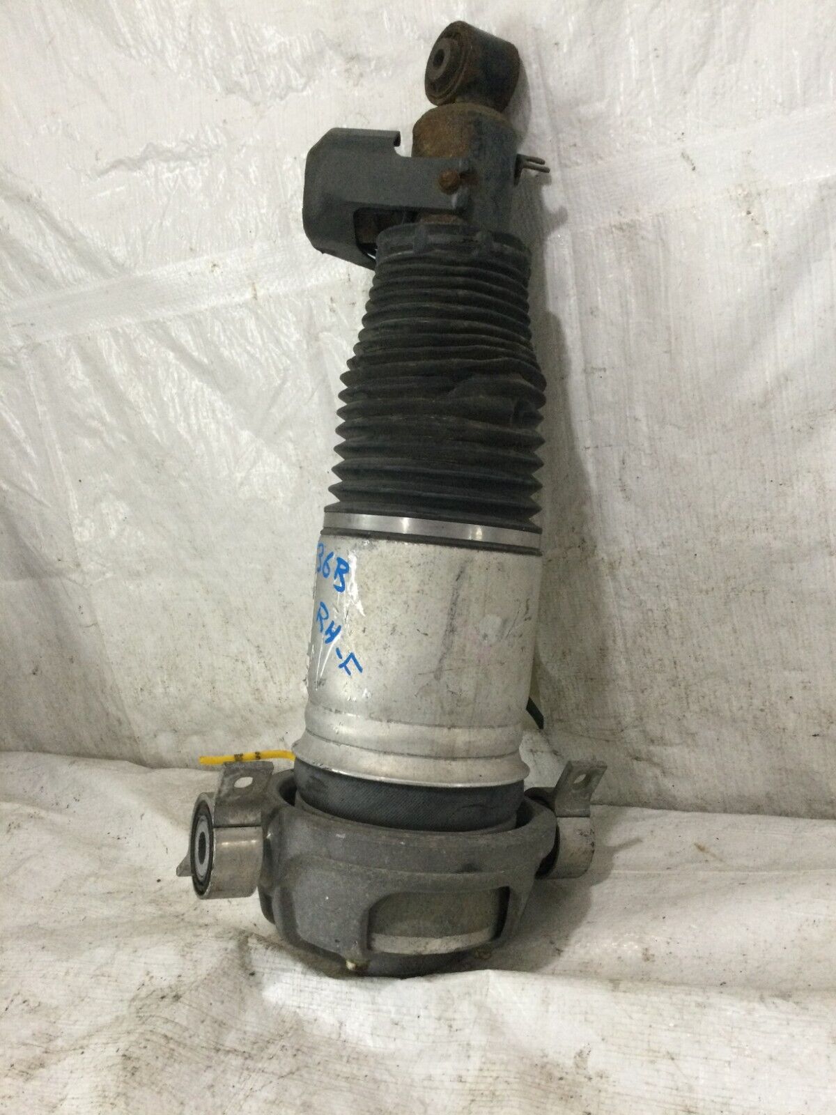 2003-2006 Porsche Cayenne Turbo Right Rear Shock Strut Absorber 7L5512022G OEM