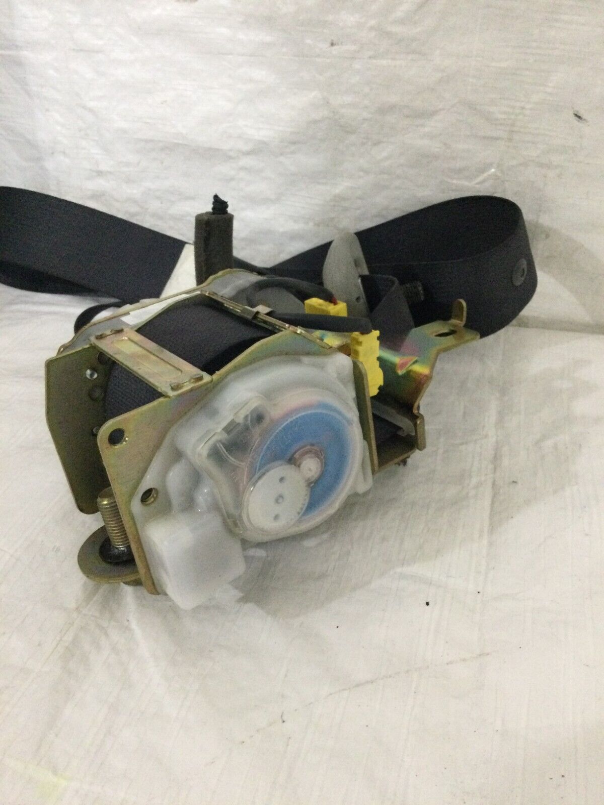 2003 Honda Accord Front Right Passenger Seat Belt OEM