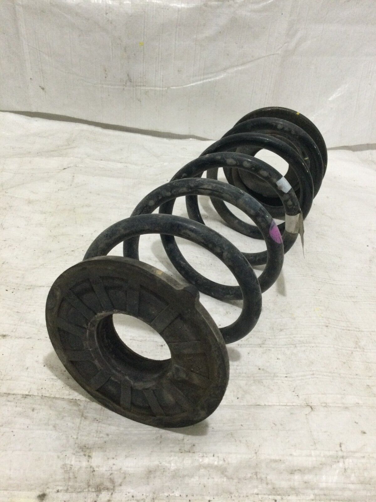 2017-2019 Hyundai Elantra Sedan Rear Suspension Left Coil Spring OEM