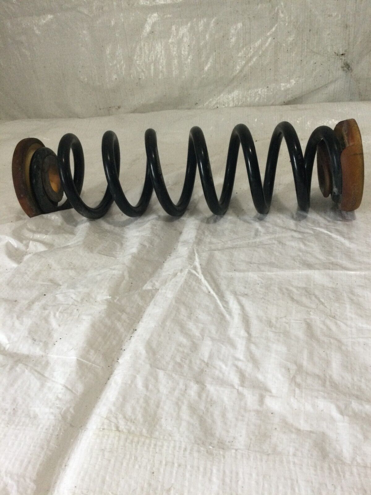 2019 Buick Regal FWD  Rear Front Side  Coil Spring OEM