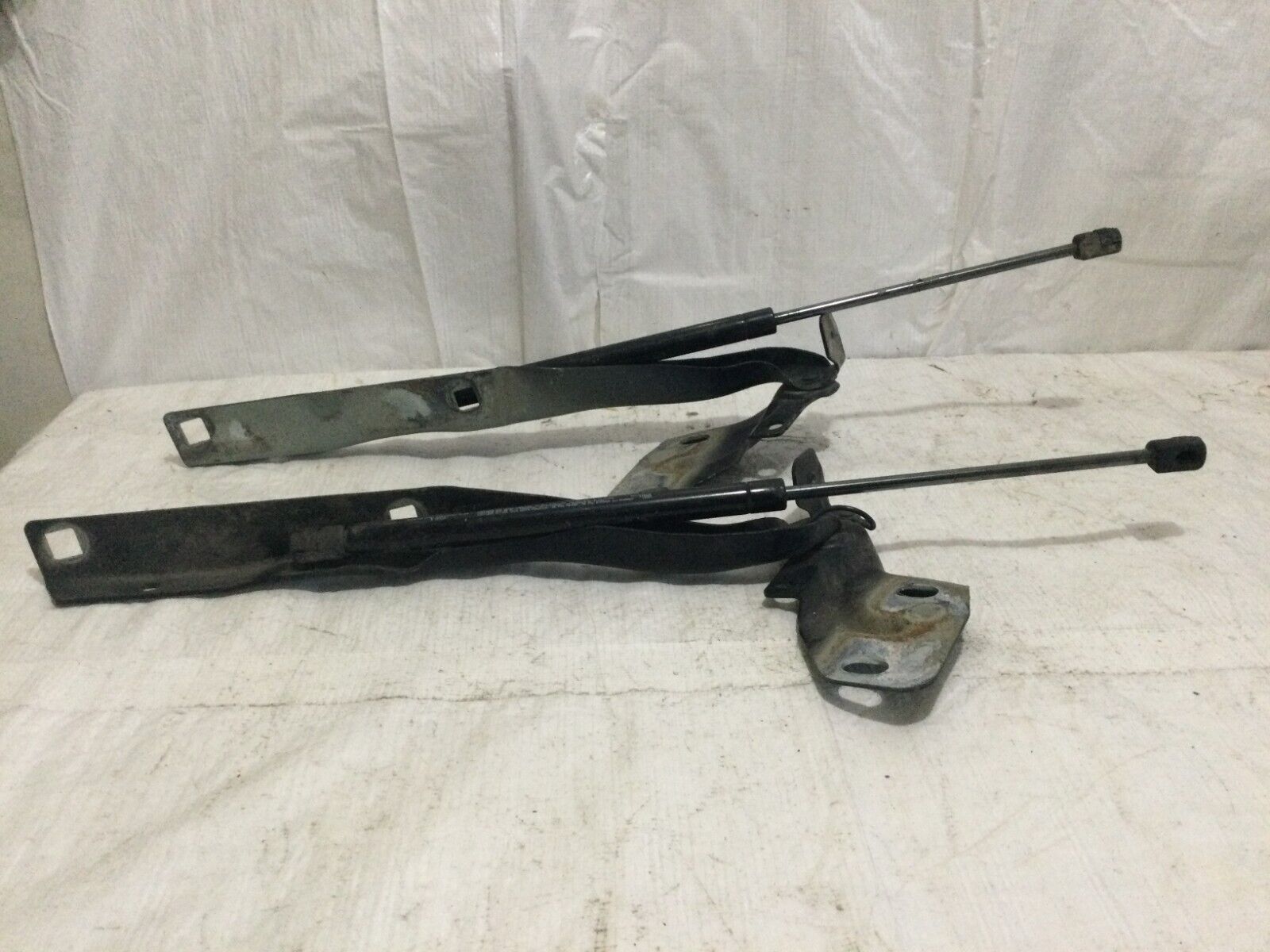 55276321AC 2007 Dodge Ram 1500 Hood Shock Pair W/ Mount OEM