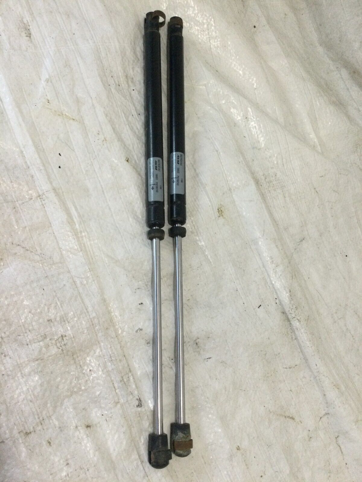 2005 Dodge Ram 1500 Hatch Support Strut Set 55276321AC  OEM