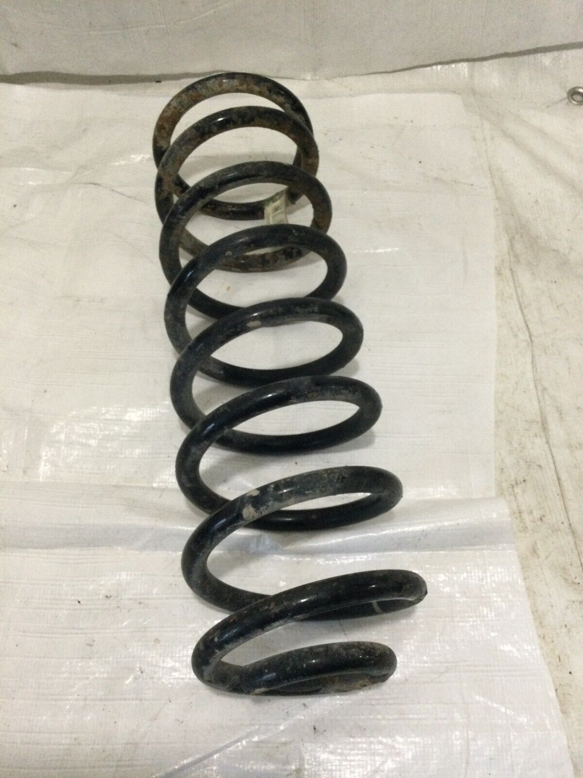 2017 RAM 1500  Rear Coil Spring  OEM