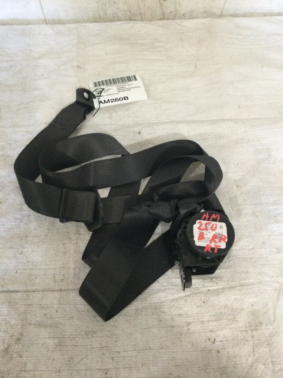 2019-2022 Chevrolet Blazer Rear Right Passenger Seat Belt OEM 84623359