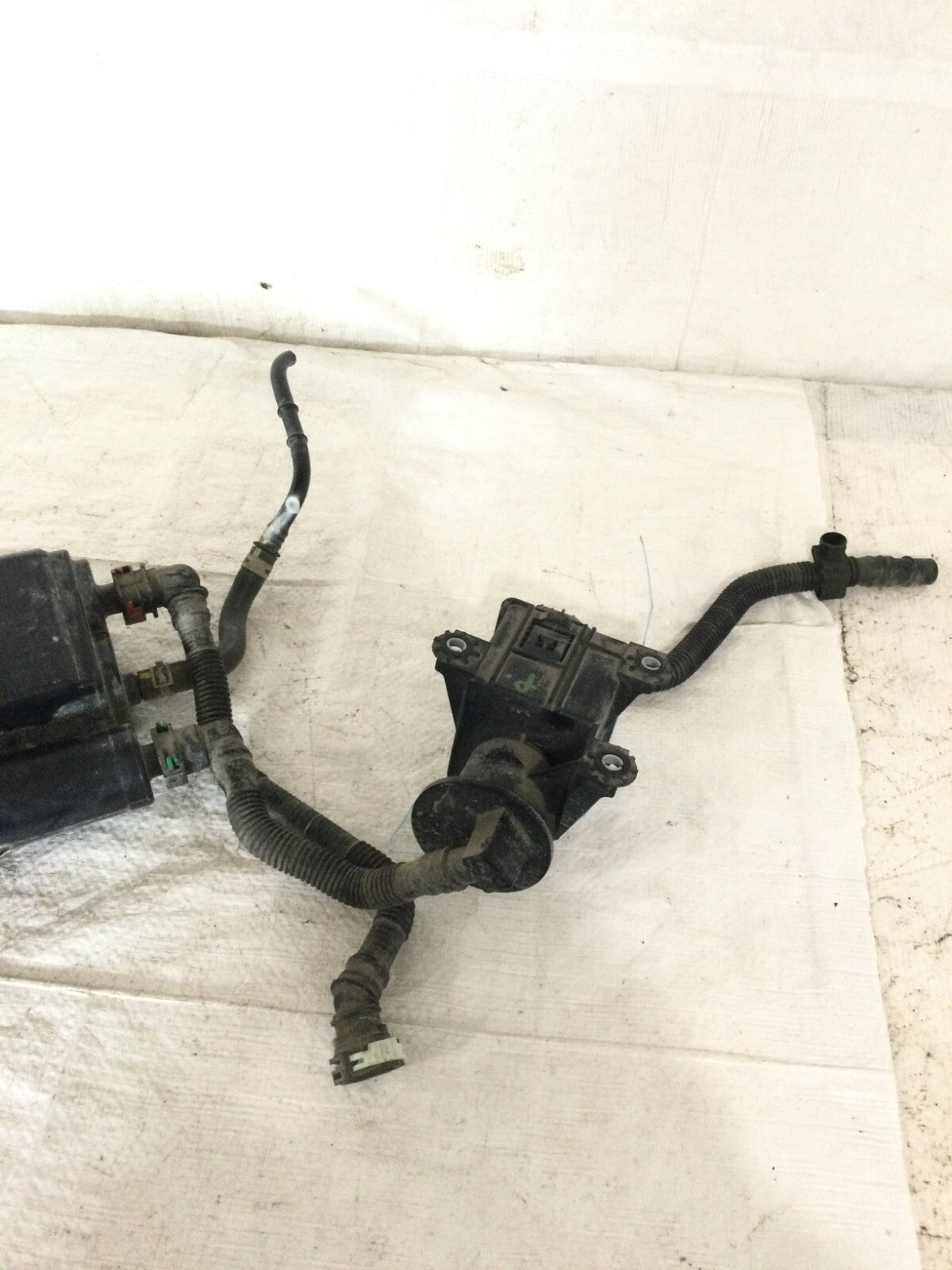 2021 Toyota Corolla Evaporator Canister OEM