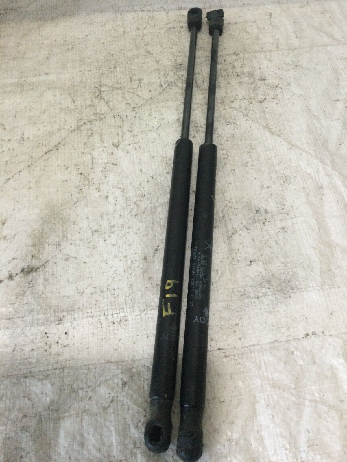 2018 Dodge Ram 1500 Hatch Support Strut Set OEM