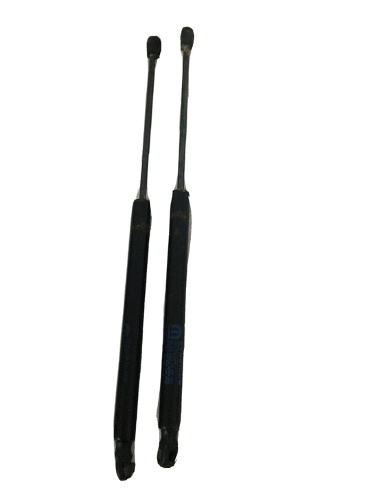 2013-2014 Dodge Journey Rear Hatch Liftgate Lift Supports Shock Struts OEM