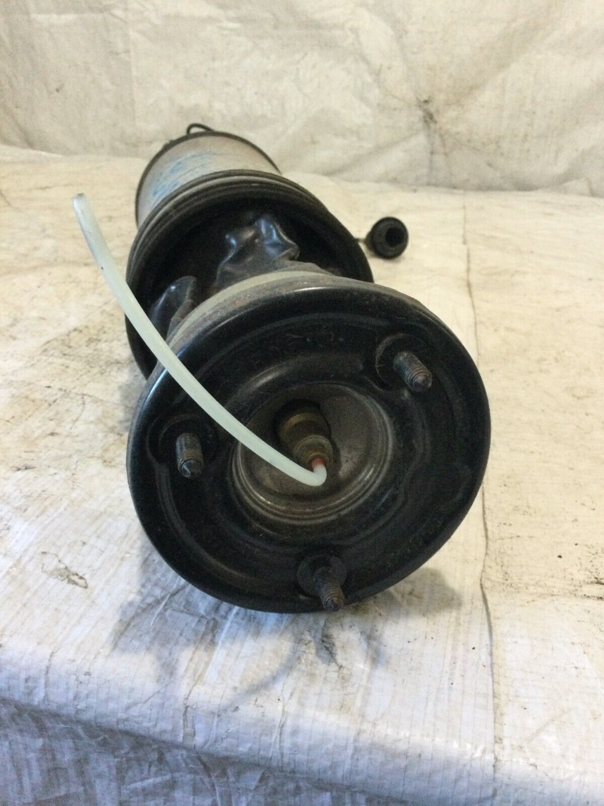 2004 Mercedes-Benz S-Class Rear Right  SHOCK ABSORBER C08605405 OEM