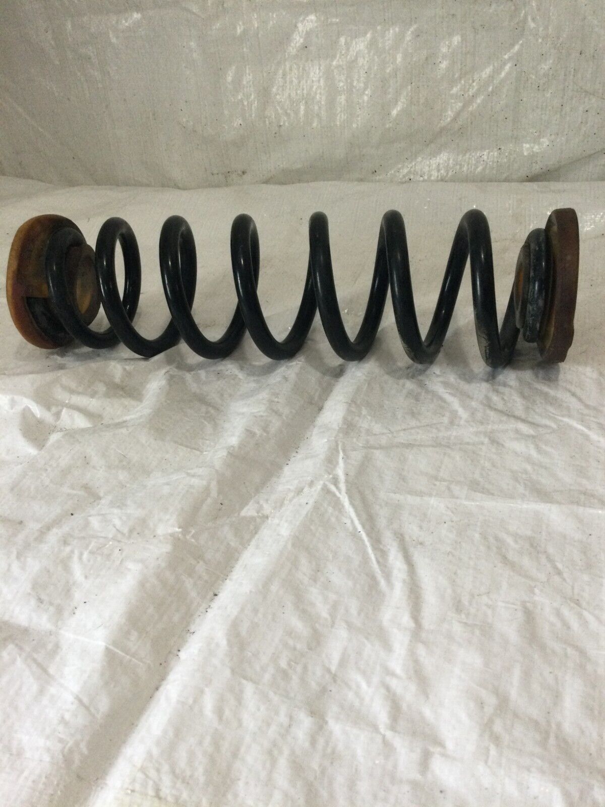 2019 Buick Regal FWD  Rear Front Side  Coil Spring OEM