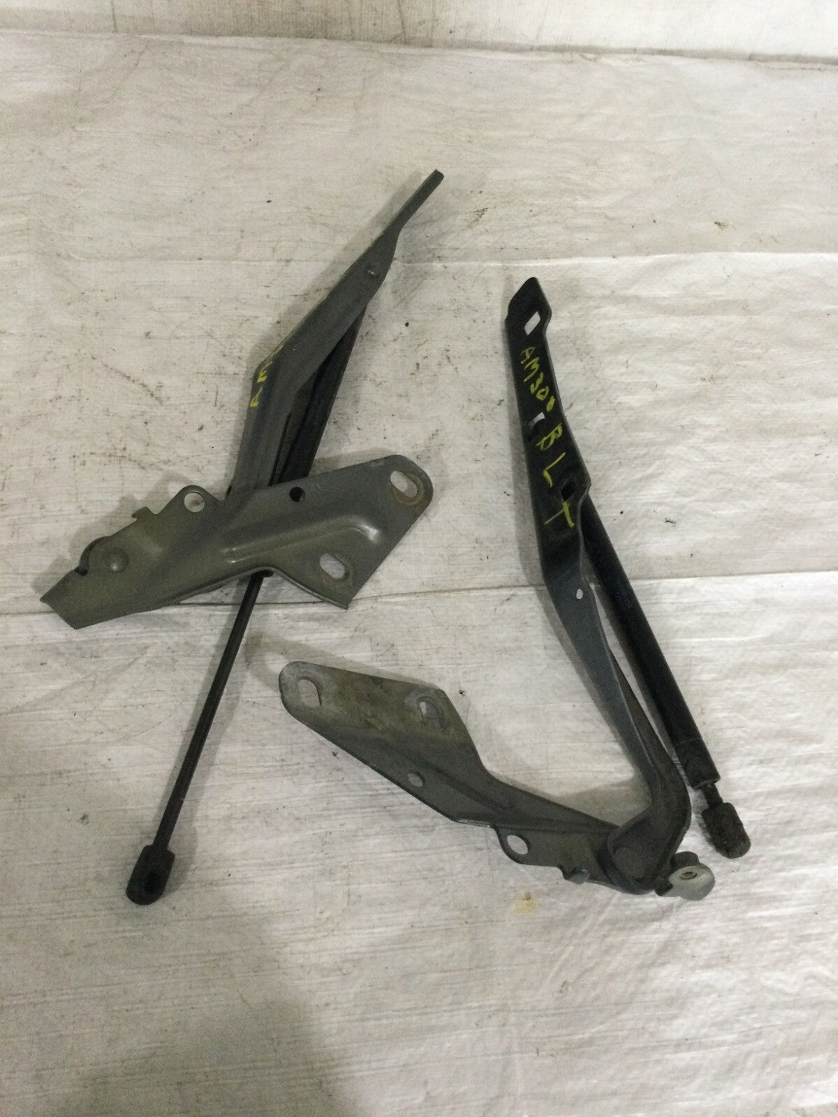 2018 Ford F-150 Hatch Support Struts Set OEM