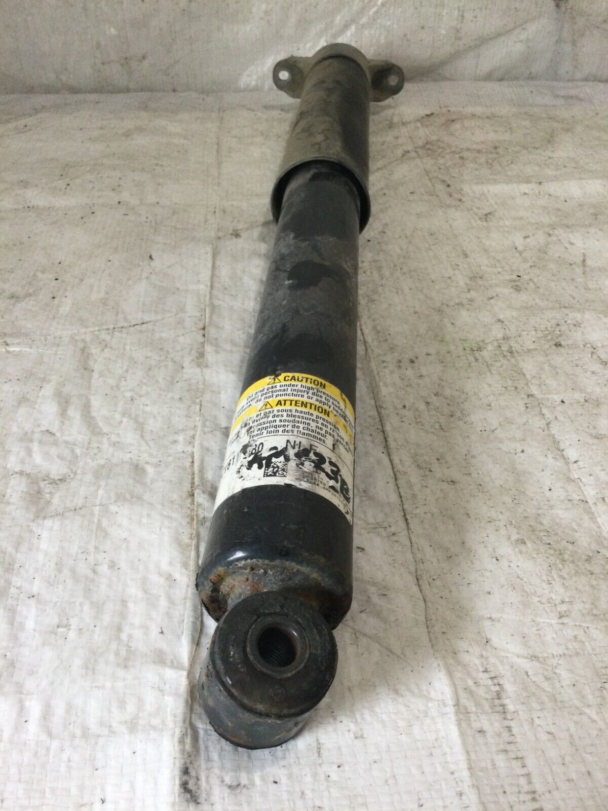 2019 Ford Escape  Rear Left Shock Absorber OEM