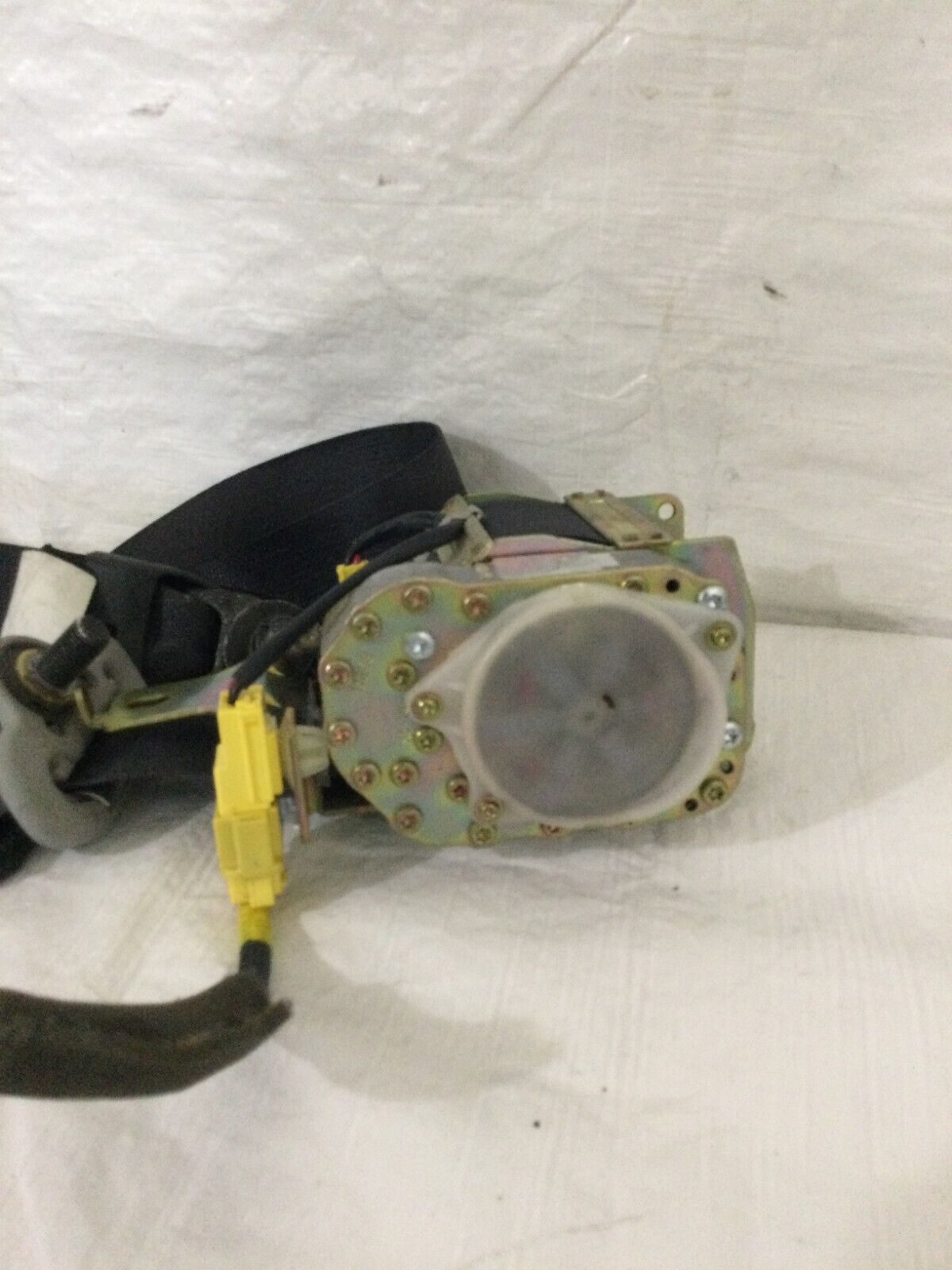 2003 Honda Accord Front Right Passenger Seat Belt OEM