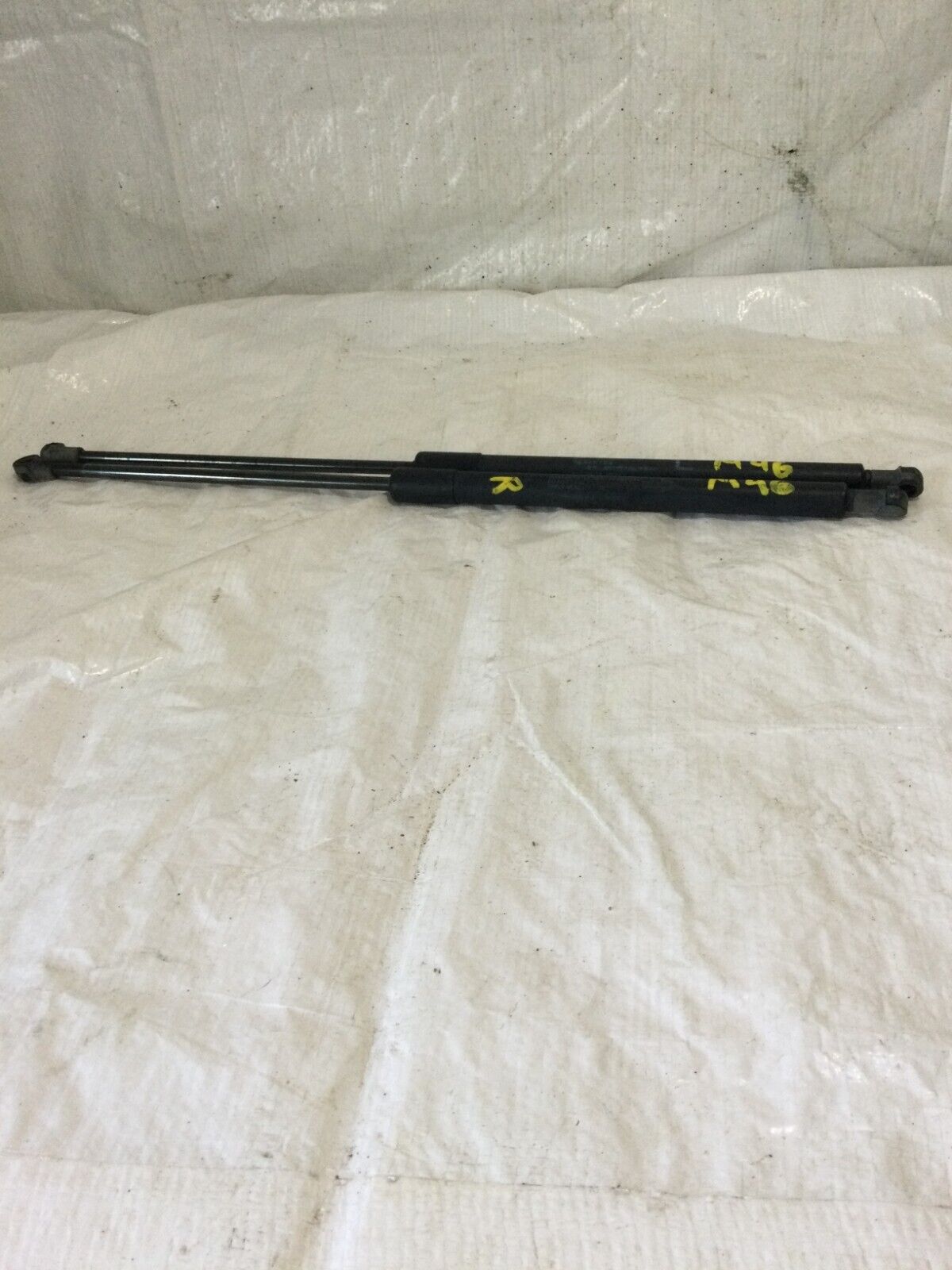 2004-2009 Toyota Prius Hatch Support Struts Pair OEM