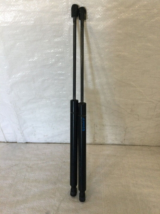 2012 2013 2014 Dodge Journey Rear Hatch Liftgate Lift Supports Shock Struts OEM