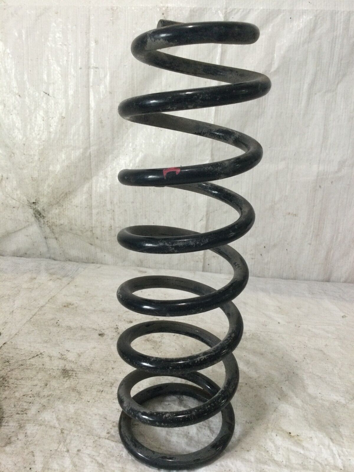 2021 Toyota Corolla Rear Suspension Coil Spring OEM