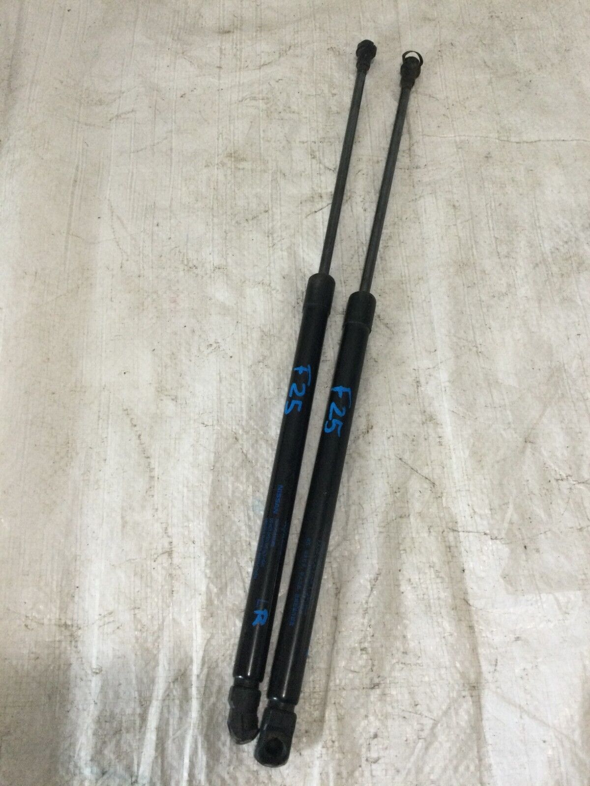 2017 Nissan Rogue Sport  Set Hatch Support Struts OEM