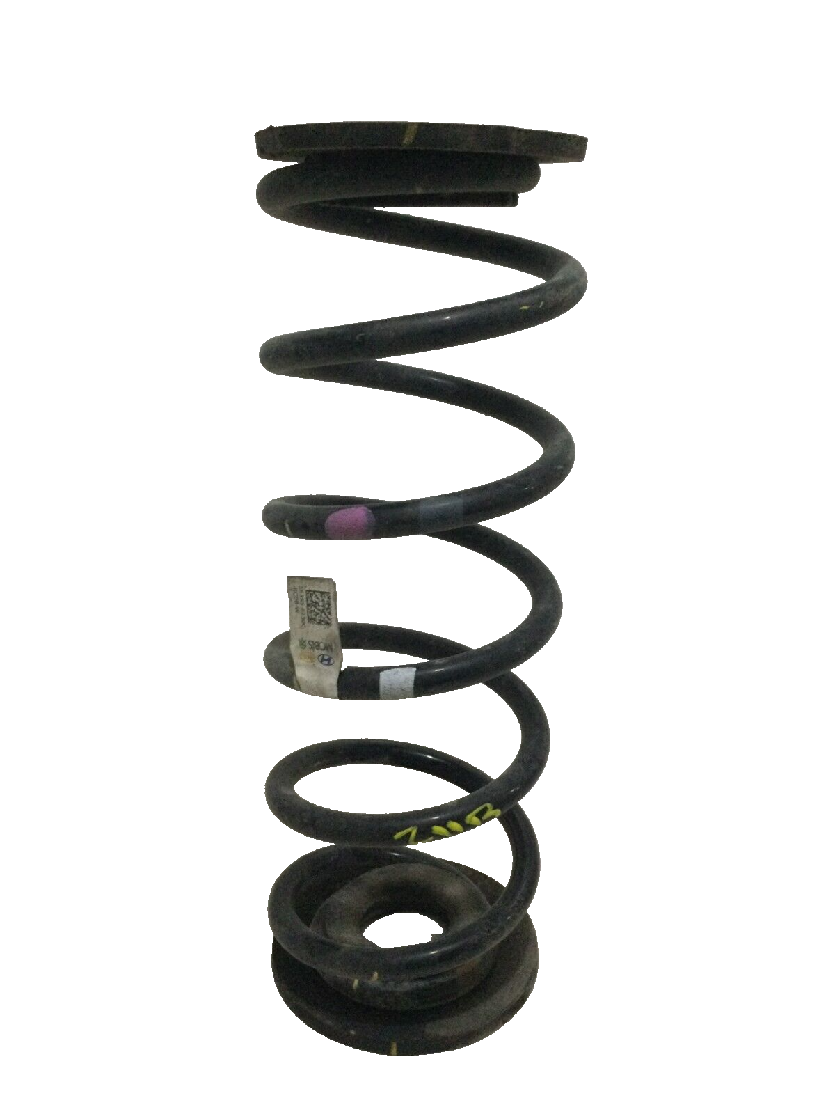2017-2019 Hyundai Elantra Sedan Rear Suspension  Right Coil Spring OEM