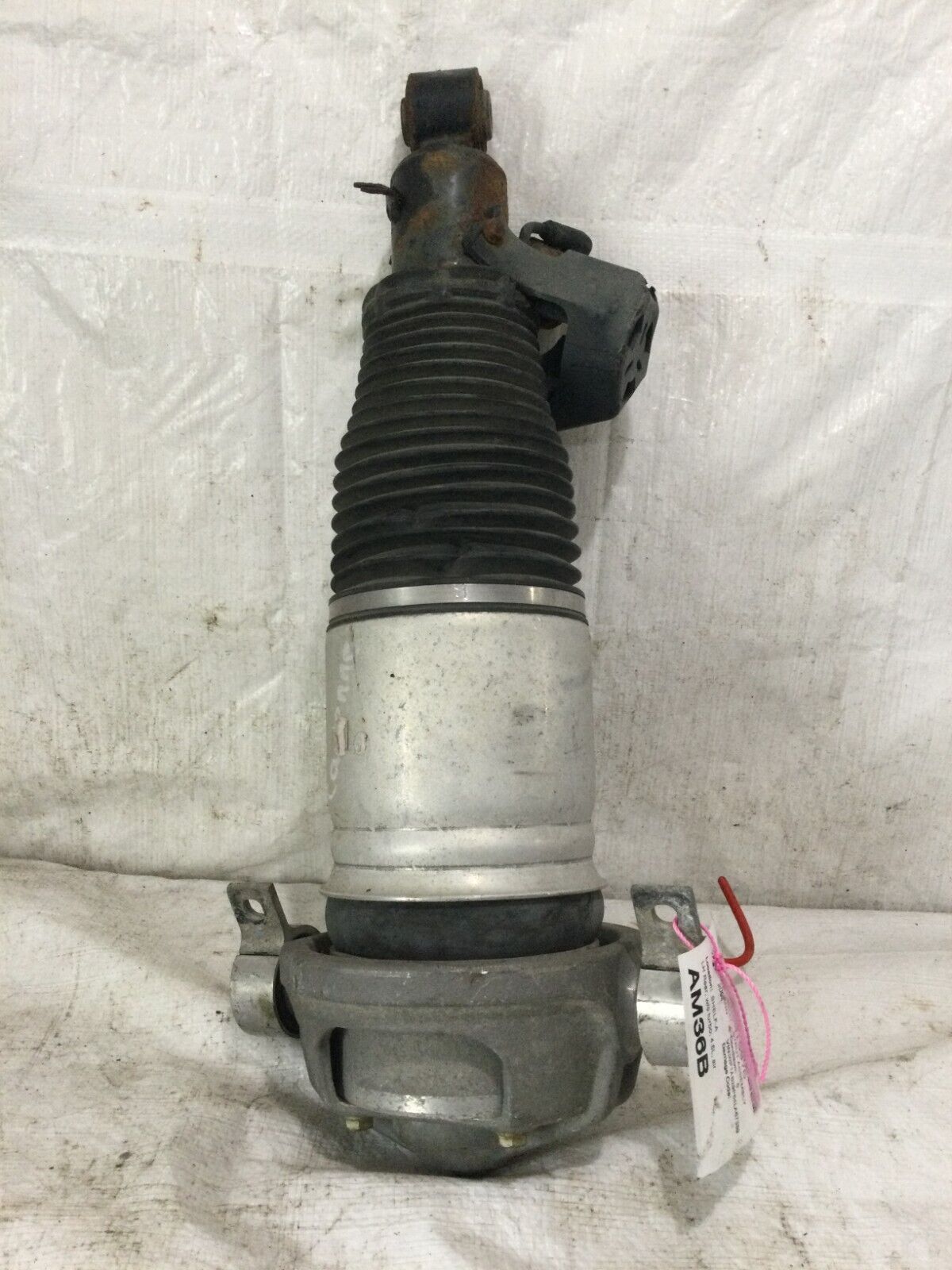 2003-2006 Porsche Cayenne Turbo Left Rear Shock Strut Absorber 7L5512021AM OEM