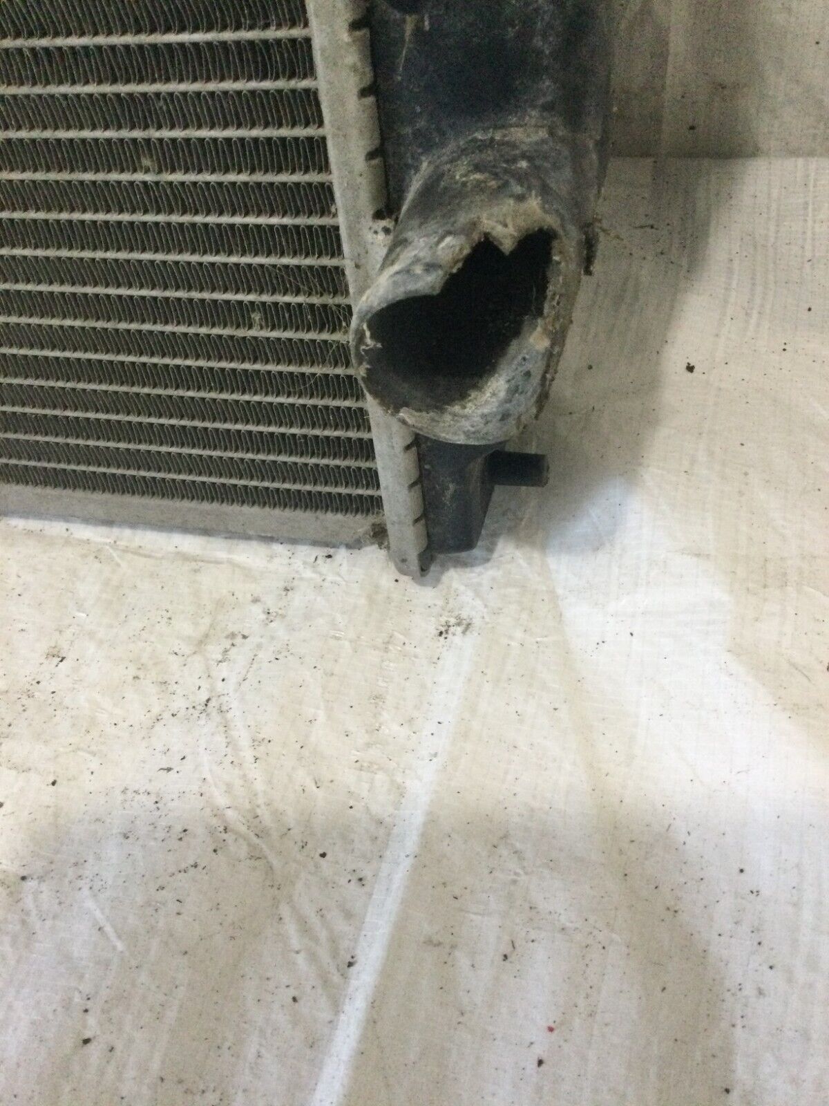 2005 Nissan Xterra  Radiator Assembly OEM