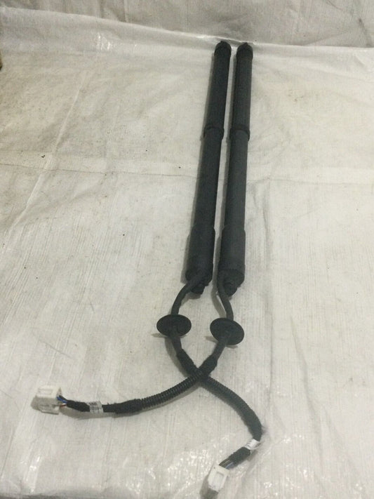 2020 Nissan Rogue Power Hatch Lift Support Struts OEM Left Right OEM