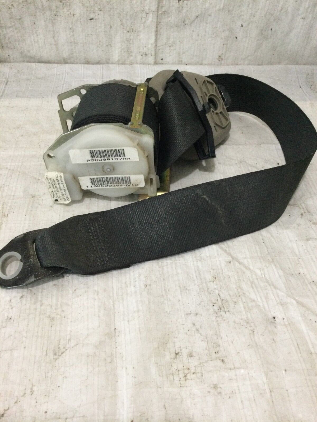 2005 Dodge Ram 1500 Rear Right Seat Belt OEM