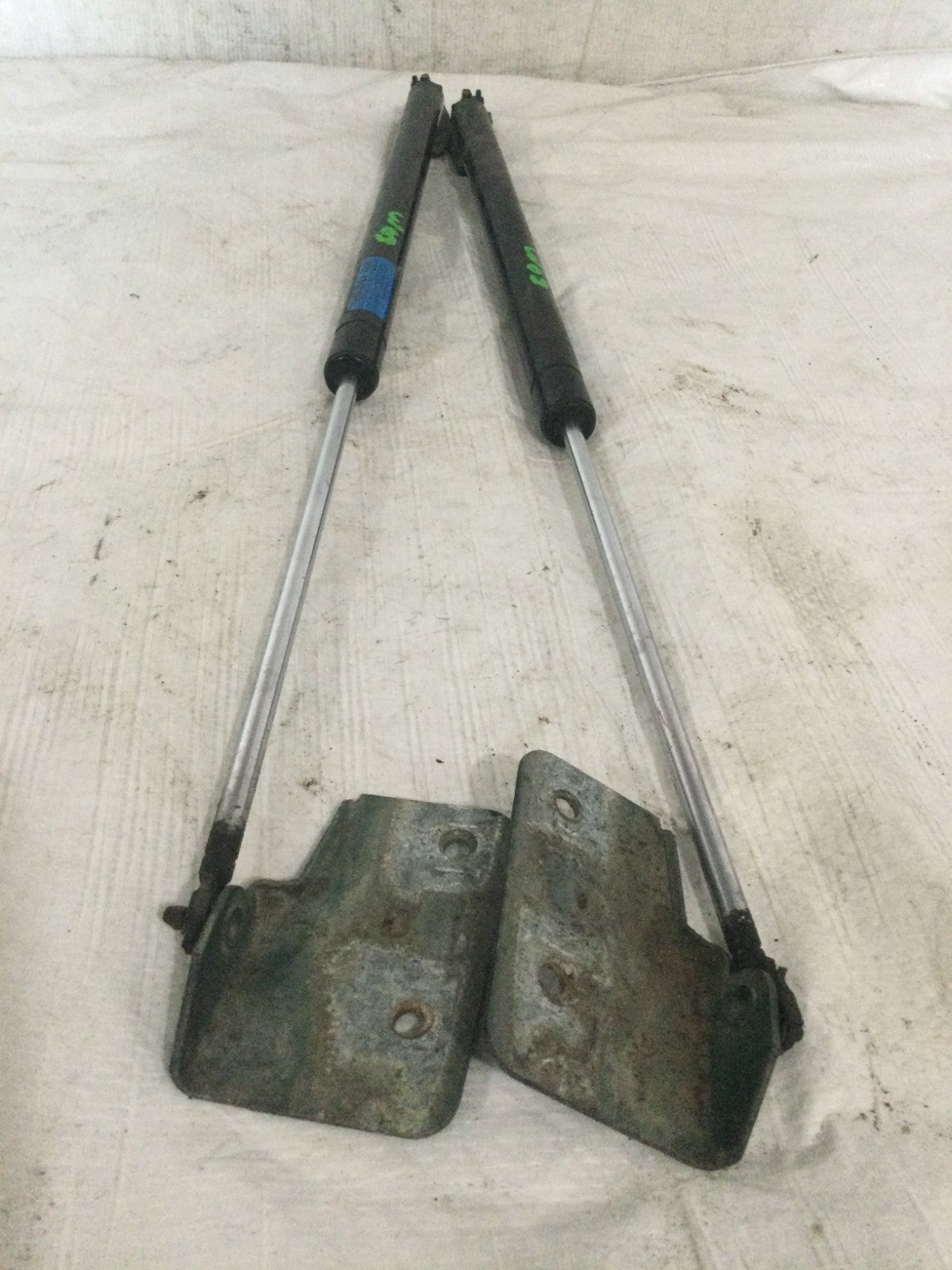 1997 Cadillac Seville Hood Lift Supports Struts OEM