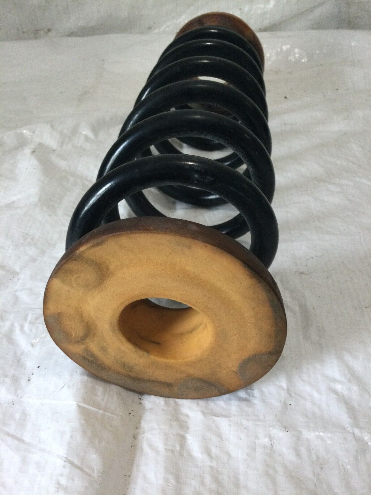2019 Buick Regal FWD  Rear Front Side  Coil Spring OEM
