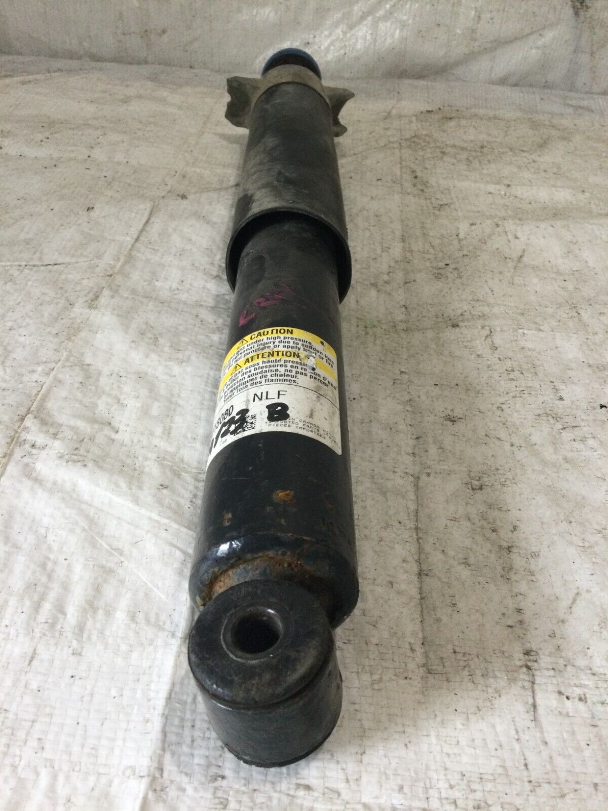 2019 Ford Escape Rear Right Strut Shock  Absorber  OEM