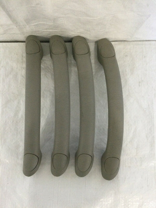 2004 Dodge Ram 1500 Interior Grab Bar Set OEM