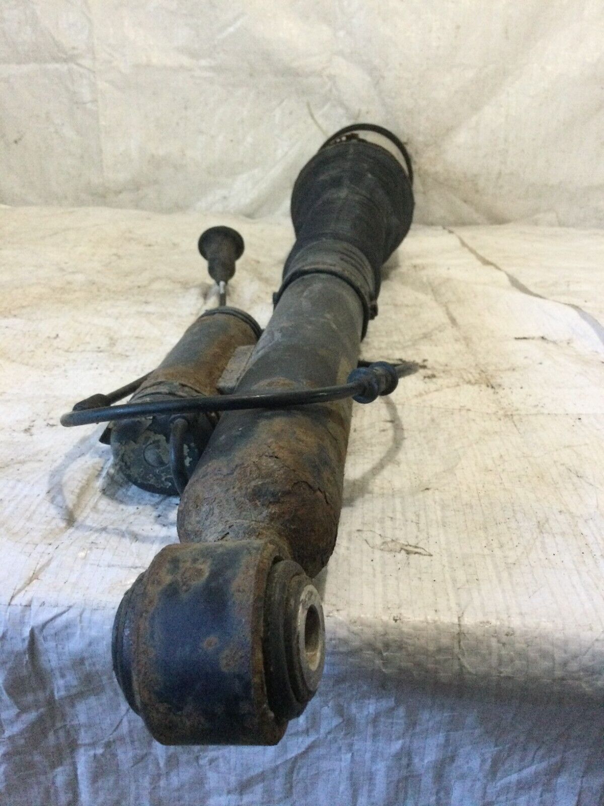 2004 Mercedes-Benz S-Class Rear Left  SHOCK ABSORBER C08605405 OEM