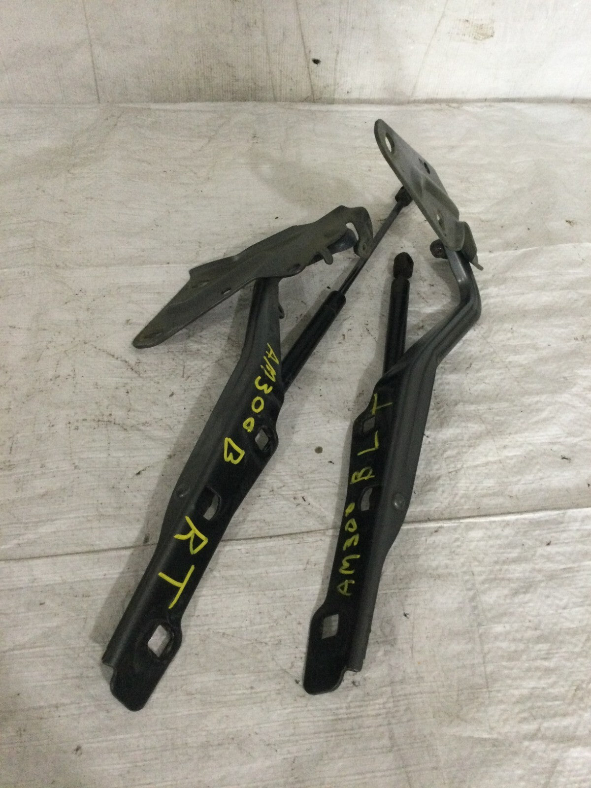 2018 Ford F-150 Hatch Support Struts Set OEM