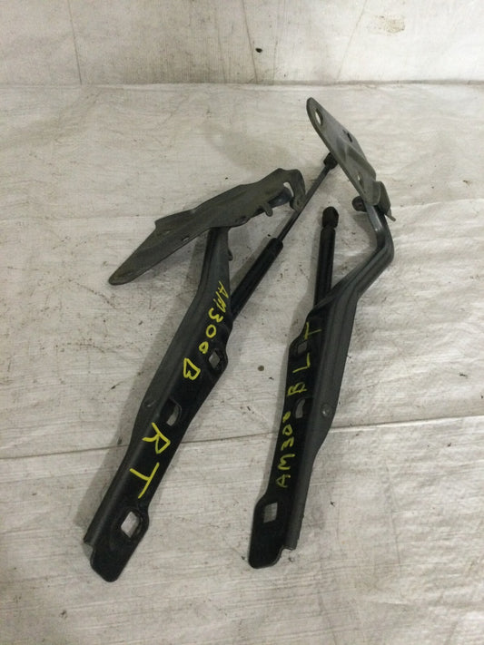2018 Ford F-150 Hatch Support Struts Set OEM