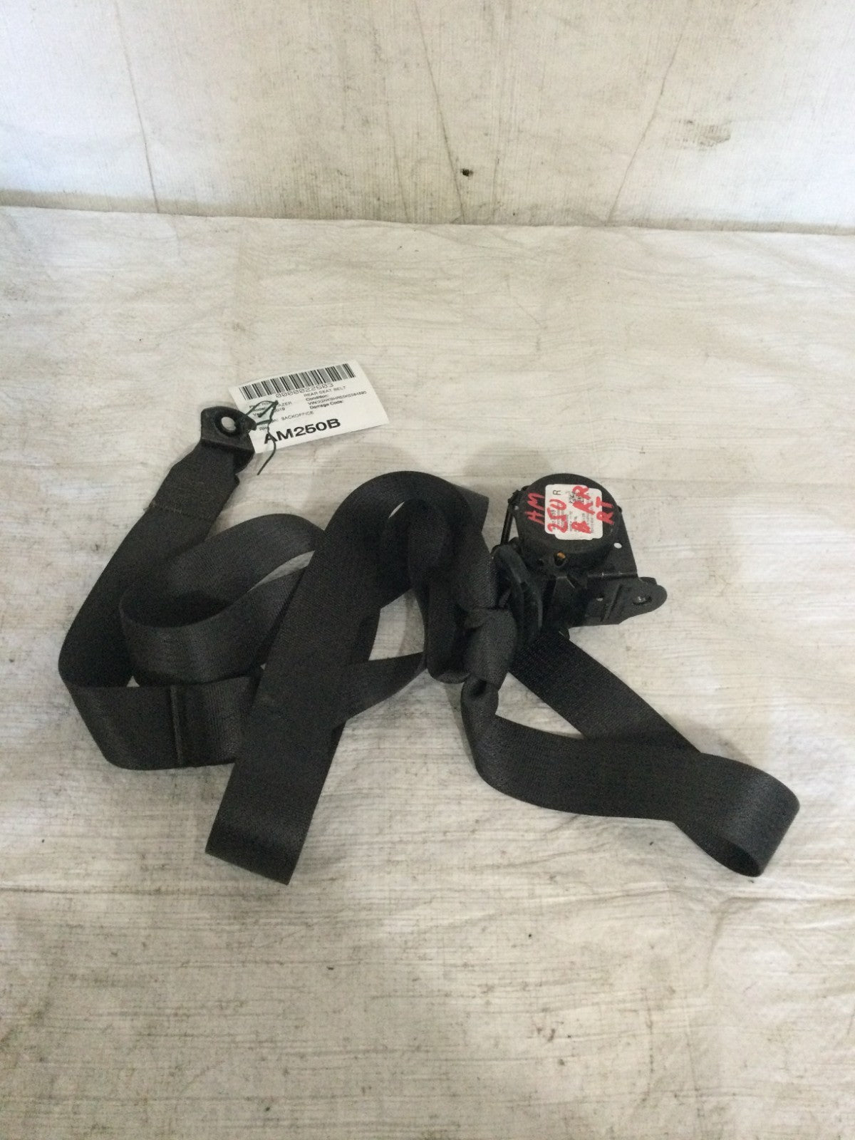 2019-2022 Chevrolet Blazer Rear Right Passenger Seat Belt OEM 84623359