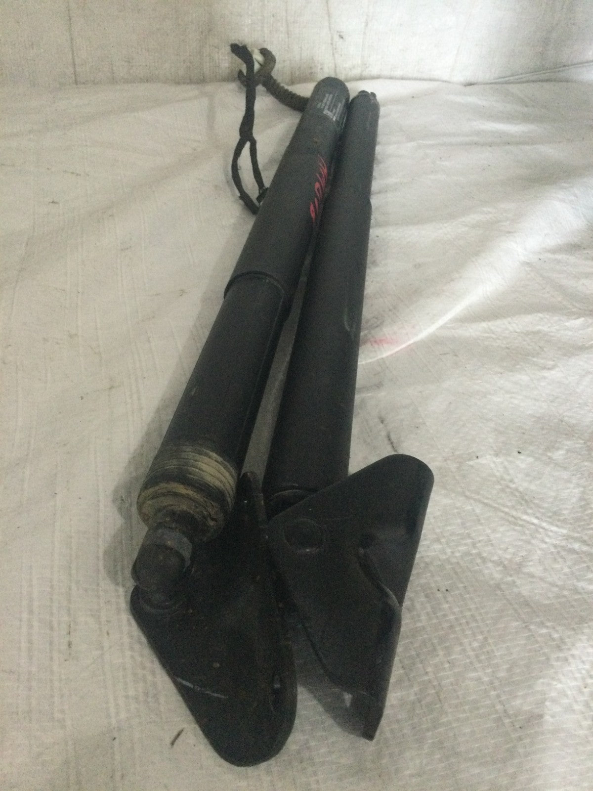 2019 Chevrolet Blazer Trunk Power Shocks Left and Right 84398351 OEM