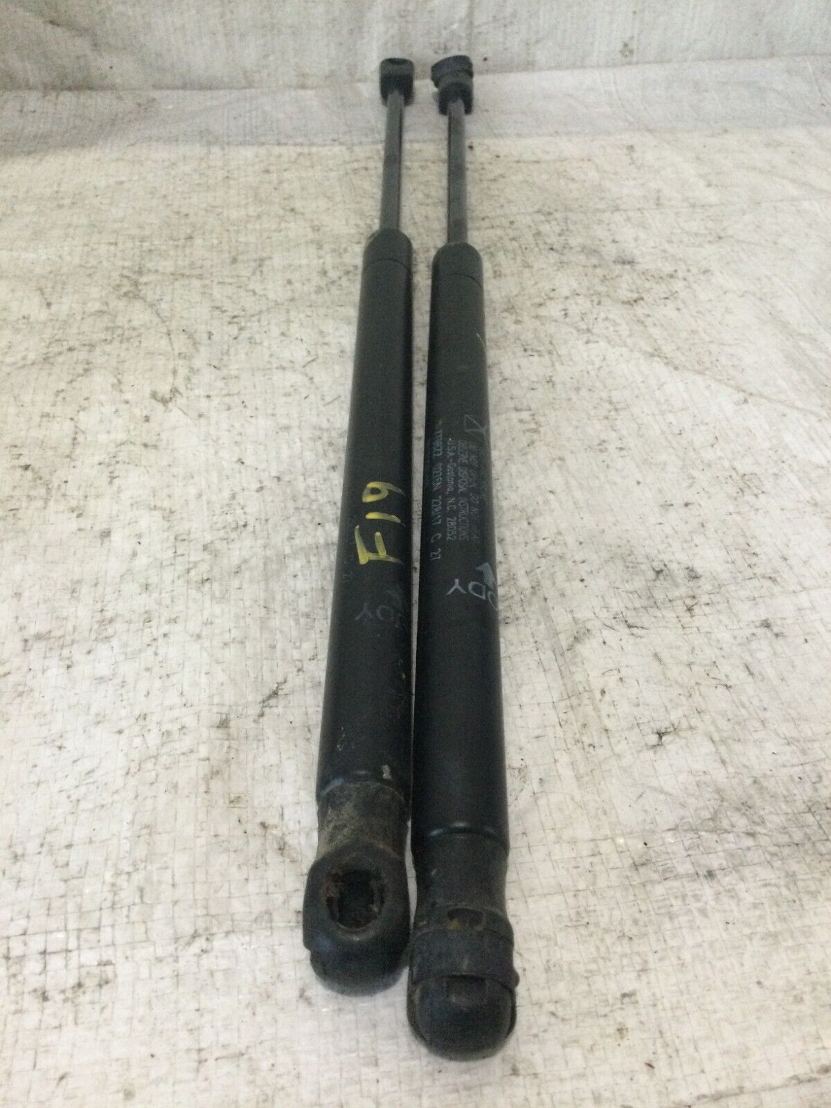 2018 Dodge Ram 1500 Hatch Support Strut Set OEM