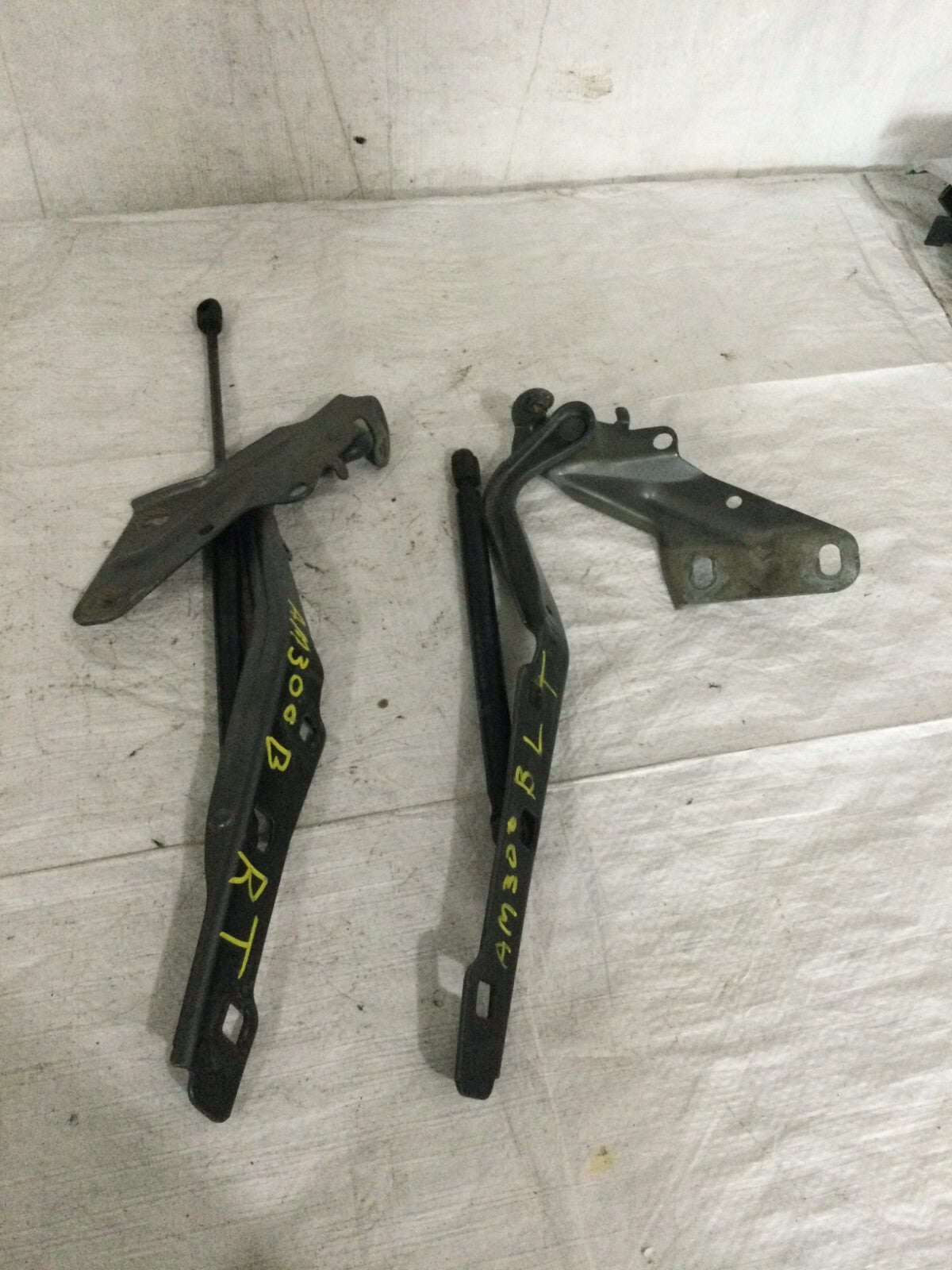 2018 Ford F-150 Hatch Support Struts Set OEM