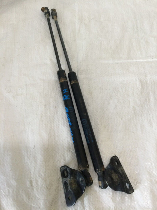 2012-2020 Dodge Journey  Trunk Lift Support Strut Shock 68101213AA Set of 2 OEM