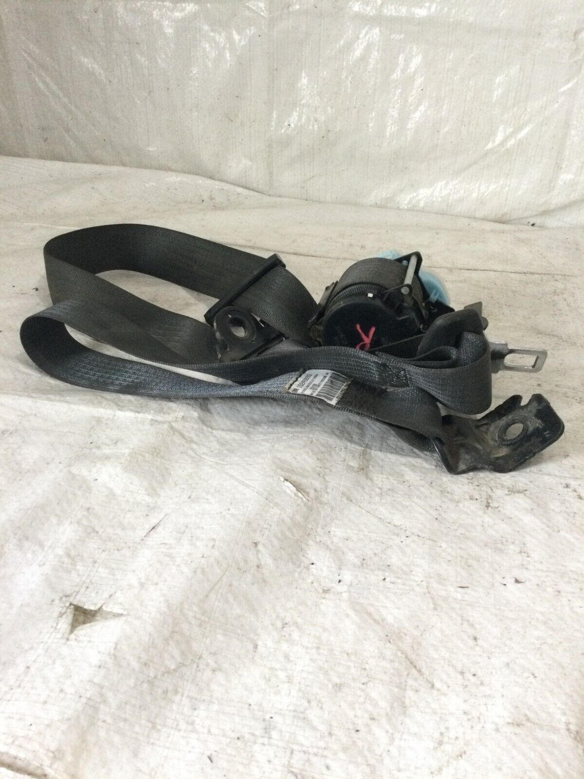 2005 Chevrolet Silverado 1500 Rear Right Seat Belt GM 15249689 OEM